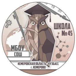 Аватар канала «Школа № 45 города Кемерово»