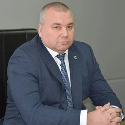 Аватар канала «Денис Ильин»