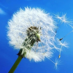 Аватар канала «МБ ДОУ "Детский сад №117" Новокузнецкого ГО»