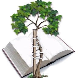 Аватар канала «МКОУ "Специальная школа № 64"»