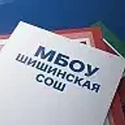 Аватар канала «МБОУ "Шишинская СОШ"»