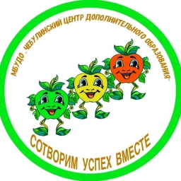 Аватар канала «Чебулинский центр дополнительного образования»