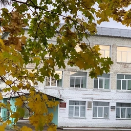 Аватар канала «КОГОБУ СШ С УИОП ПГТ САНЧУРСК»