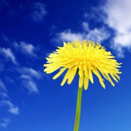 Аватар канала «ШКОЛА ПГТ ВАХРУШИ СЛОБОДСКОГО РАЙОНА»