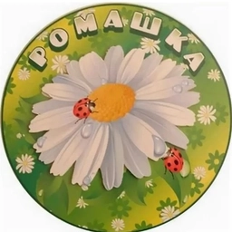 Аватар канала «Муниципальное бюджетное дошкольное образовательное учреждение "Детский сад 121 "Ромашка"»