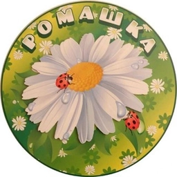 Аватар канала «Детский сад "Ромашка"»