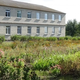 Аватар канала «МКОУ "Саморядовская СОШ"»