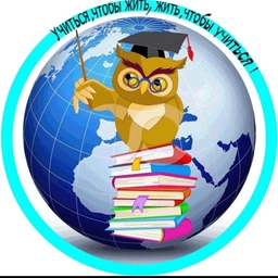 Аватар канала «МКОУ "Болотская СОШ им.Героя Советского Союза И.М.Воротынцева"»