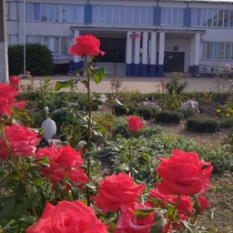 Аватар канала «МКОУ "Бобрышевская СОШ"»