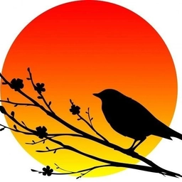 Аватар канала «Детский сад № 69 гор. Курск»