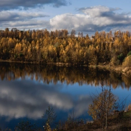 Аватар канала «СНТ "Заозёрное 1". Соседи.»