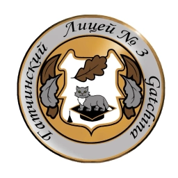 Аватар канала «Гатчинский лицей № 3»