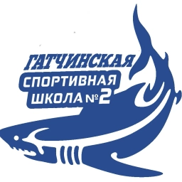 Аватар канала «Гатчинская спортивная школа № 2»