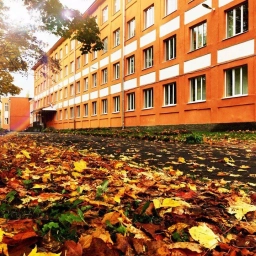 Аватар канала «МКОУ ЛОДЕЙНОПОЛЬСКАЯ СОШ №2»