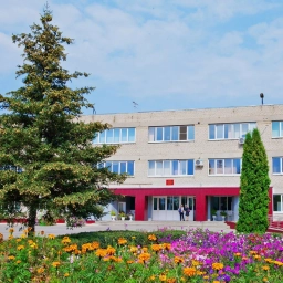 Аватар канала «Гимназия села Боринское | Липецкий округ»