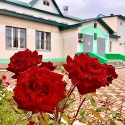 Аватар канала «МБОУ СОШ С. Девица»