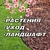 Аватар канала «РАСТЕНИЯ/УХОД/ЛАНДШАФТ»