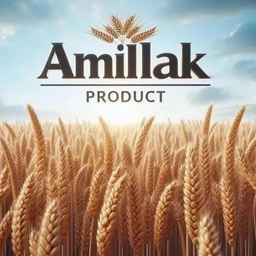 Аватар канала «ООО "Амиллак Продукт"»