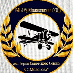Аватар канала «Школа им.Героя Советского Союза В.С.Молокова Ленинский городской округ»