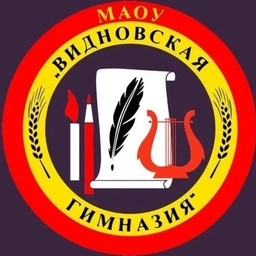 Аватар канала «Видновская гимназия, Ленинский городской округ»