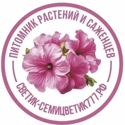 Аватар канала «Петуния Воскресенск»