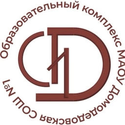 Аватар канала «МАОУ Домодедовская СОШ №1»
