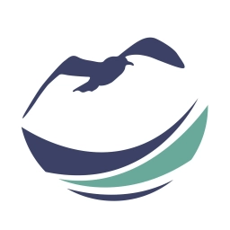 Аватар канала «МБУ ДО ДМЦ "Альбатрос"»