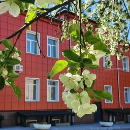 Аватар канала «МКОУ «ОШ 9 для обучающихся с ОВЗ»»