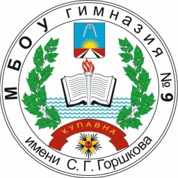 Аватар канала «Гимназия №9, Балашиха.»