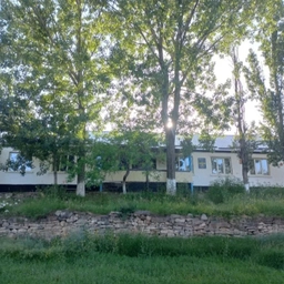 Аватар канала «МКОУ "Цугнинская СОШ им. Гаджимурадова М.М." с. Цугни»