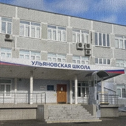 Аватар канала «Ульяновская школа _НА_СВЯЗИ»