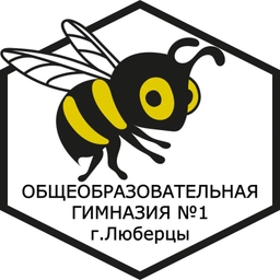 Аватар канала «Гимназия №1, Люберцы»