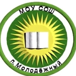 Аватар канала «Канал МОУ сош го Молодёжный»