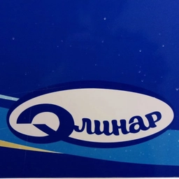 Аватар канала «ЭЛИНАР ЖИЛСЕРВИС»