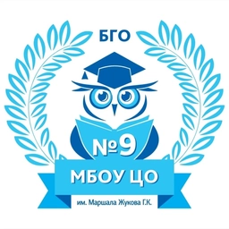 Аватар канала «Центр образования № 9, Богородский городской округ»