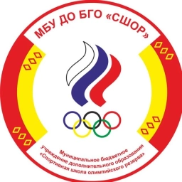 Аватар канала «МБУ ДО БГО "СШОР"»
