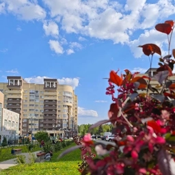 Аватар канала «УК Полёт Ногинск»