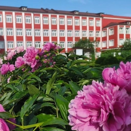 Аватар канала «Школа № 5, Орехово-Зуевский городской округ»