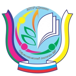 Аватар канала «Образовательный комплекс N3 г. Пушкино Пушкинского городского округа»