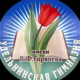 Аватар канала «Удельнинская гимназия,Раменский муниципальный округ»