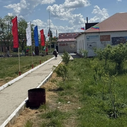 Аватар канала «ГКОУ РД "Новотиндинская СОШ Цумадинского района"»