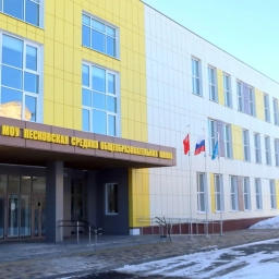 Аватар канала «Песковская школа Коломна»