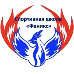 Аватар канала «МУ ДО «СШ «Феникс»»
