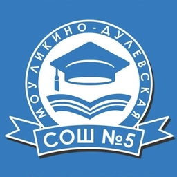 Аватар канала «Ликино-Дулевская школа №5, Орехово-Зуевский городской округ»