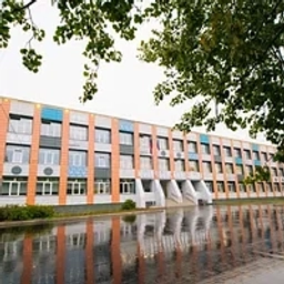 Аватар канала «МБОУ Молочненская СОШ Кольского округа Мурманской области»