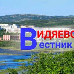 Аватар канала «Вестник Видяево»