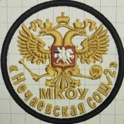 Аватар канала «МКОУ "Нечаевская СОШ № 2"»