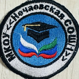 Аватар канала «МКОУ "Нечаевская СОШ №1"»