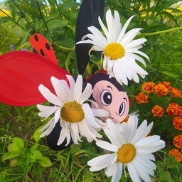 Аватар канала «МБДОУ г.Мурманска 140»