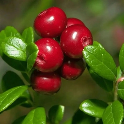 Аватар канала «МАДОУ г. Мурманска №19»